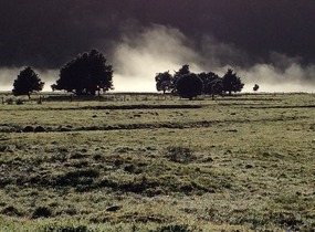 Low lying clouds