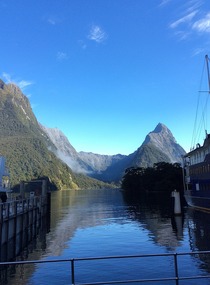 Milford Sound harbour