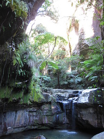 Moss Garden Waterfall