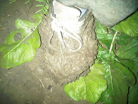 Bogged While Hunting