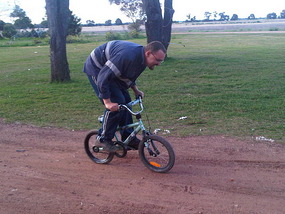 Horsing Around The Farm