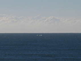 Blowhole Activity