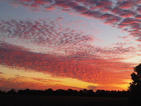 Aussie Sunset 2