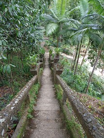 Grand Staircase To The Pool
