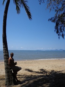 Palm Cove Morning