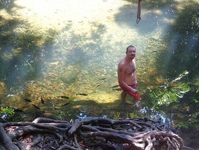 Swimming With The Fishes