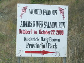 03- it's a big event every four years