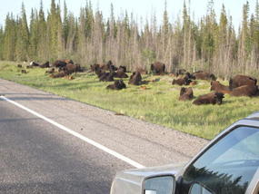 46 - passing slowly