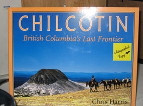 Chris Harris - a local artist