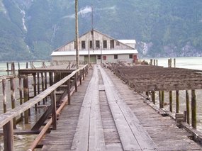 cannery row in decay