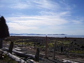 the bay
