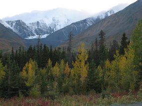 - driving along east side of Kluane National Park