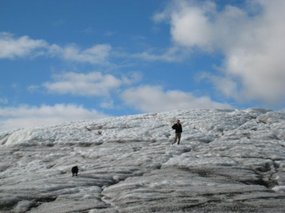 28-- a man and his dog