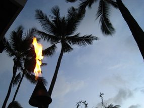 - shades of Polynesia