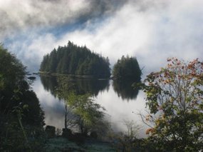 - magical beauty of nature