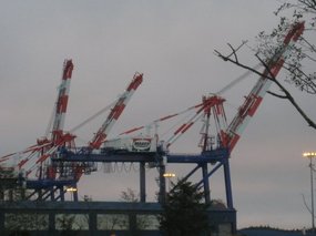 - as seen from fish processing plant