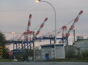 - first view of the cranes