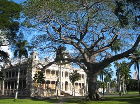 55-- Iolani Palace and Kapok tree