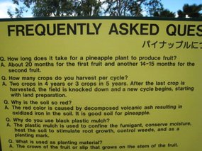 - self guided tour panels