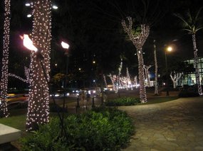 - last evening's walk in Waikiki