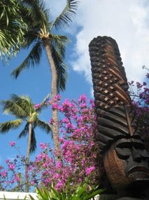 - a morning walk around Waikiki Beach