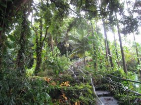- on the way to Rainbow Falls