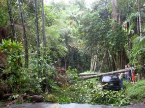 - evidence of violent storms on our way north