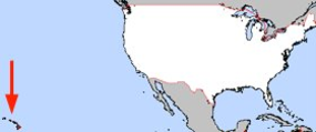 - most southerly point in the U.S, - Ka Lea