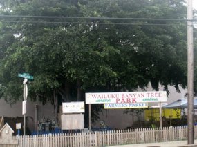 - arriving in Wailuku