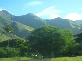- the beautiful green folded mountains of Maui