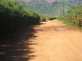 98-- on the way to incredible Mahaulepu Beach