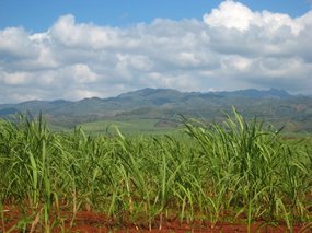 89-- heading further west to Waimea