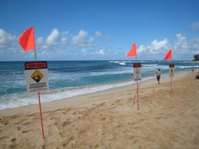 - High Surf warning signs