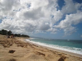 - the beauty of Hawaii