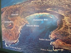 - horseshoe shaped Hanauma Bay