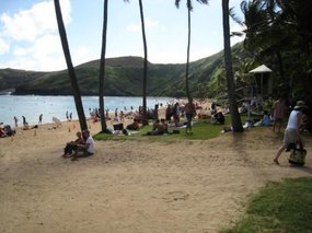 11-- beach