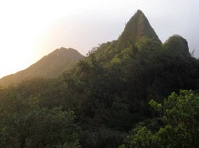 12-- photos taken on way back to Waikiki