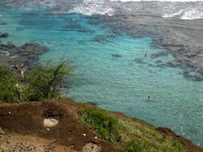 - coral reefs are close to shore