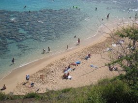 - beach and coral reefs