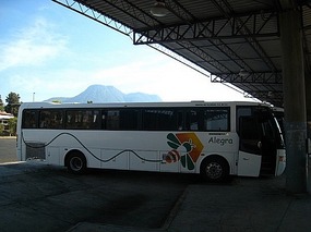 - our bus