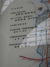 - city statistics