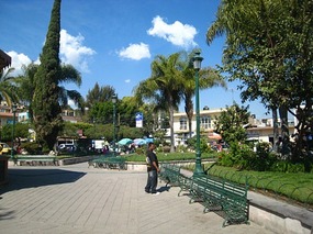 - lots of greenery