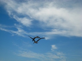 - it was a beautiful warm day
