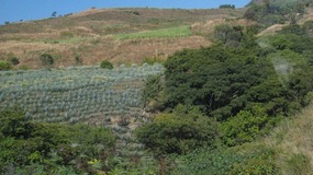 - - landscape going west from Guadalajara