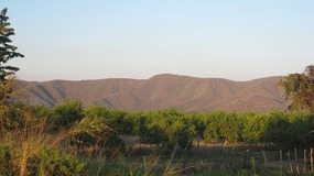 - scenery along the way