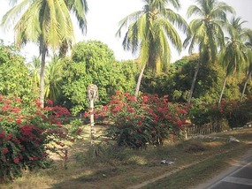 - heading into the tropics