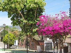 - colourful even at this time of year