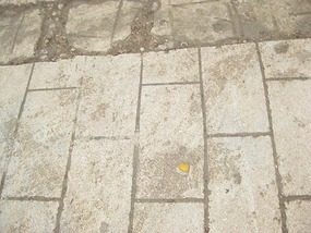 - new paving stones being installed