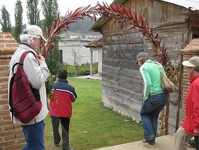 - visiting a private home
