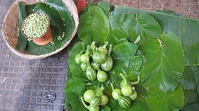 - how green can it get